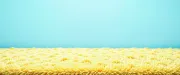 backgrounds
