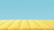 backgrounds
