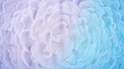 backgrounds