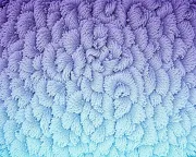 backgrounds