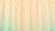 backgrounds