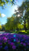 backgrounds