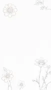 backgrounds