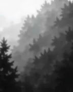 backgrounds