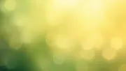 backgrounds