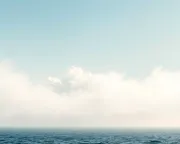 backgrounds