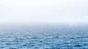 backgrounds