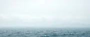 backgrounds