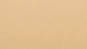 backgrounds