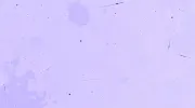 backgrounds