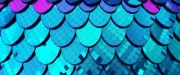 backgrounds