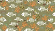 backgrounds