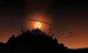 backgrounds
