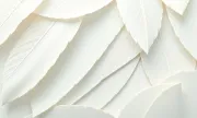 backgrounds