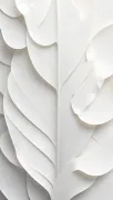 backgrounds