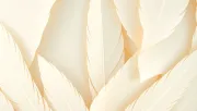 backgrounds