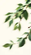 backgrounds