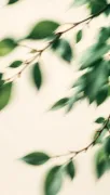 backgrounds