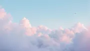 backgrounds