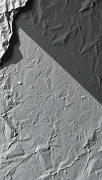 backgrounds