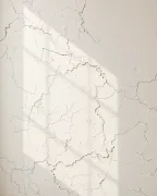 backgrounds