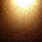 backgrounds