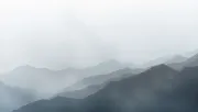 backgrounds