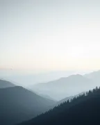 backgrounds