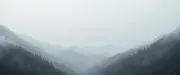 backgrounds