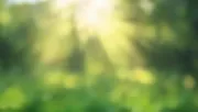 backgrounds