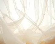 backgrounds