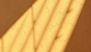 backgrounds