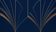 backgrounds