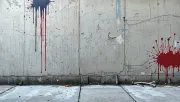 backgrounds