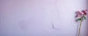 backgrounds