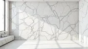 backgrounds