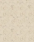 backgrounds