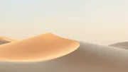 backgrounds