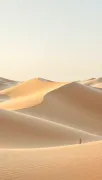 backgrounds