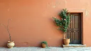 backgrounds