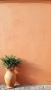 backgrounds