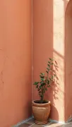 backgrounds