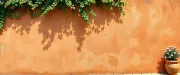 backgrounds