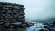 backgrounds