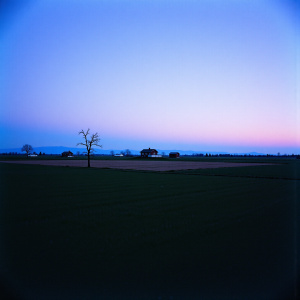 Naturalny algorytm #10