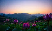 bangladesh