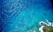 barbados