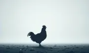 goobberai1