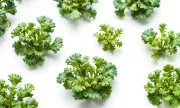 microgreenswhitebg