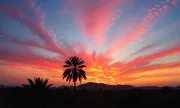 oman2